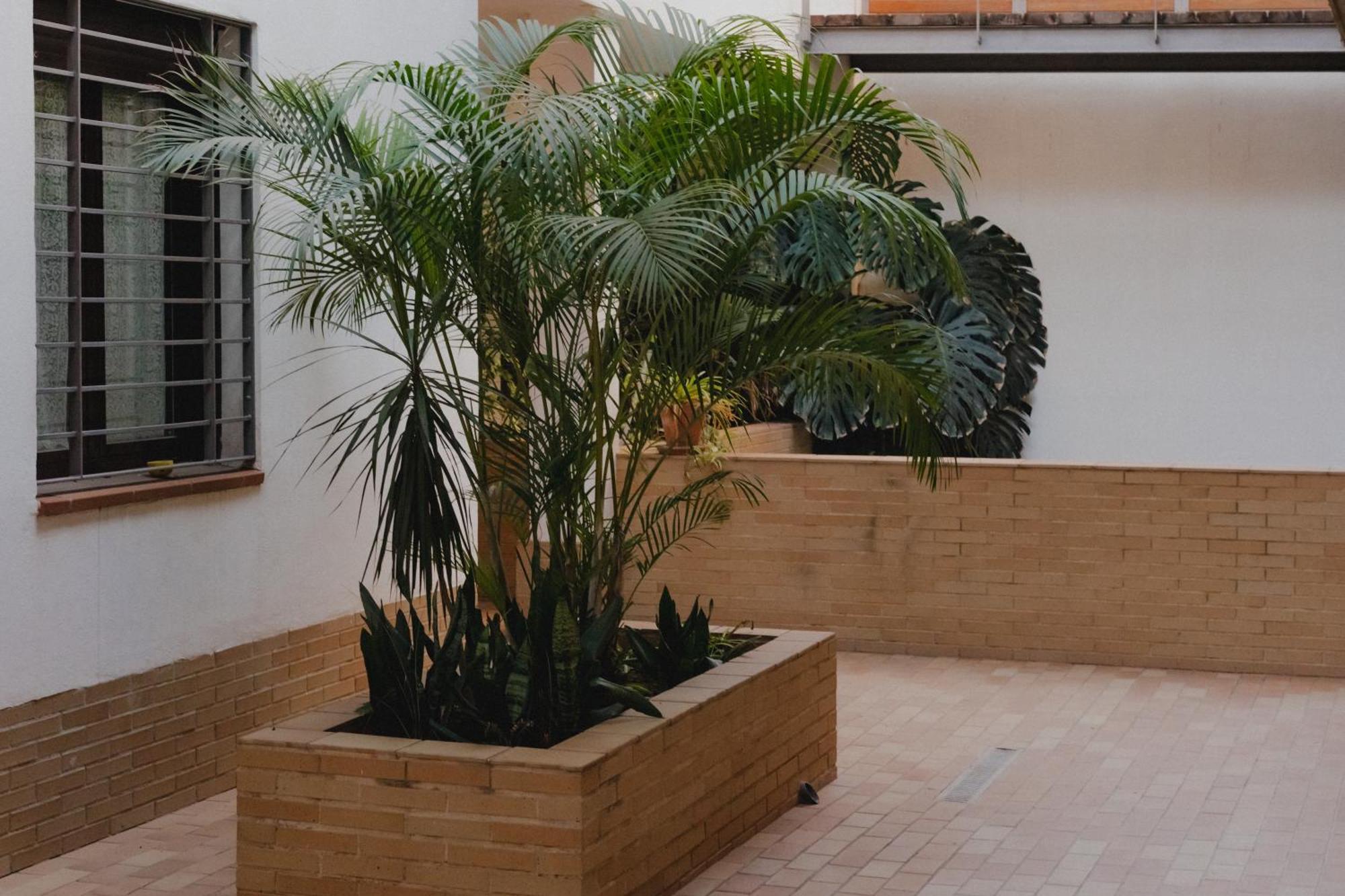 Apartamento Zamorano *