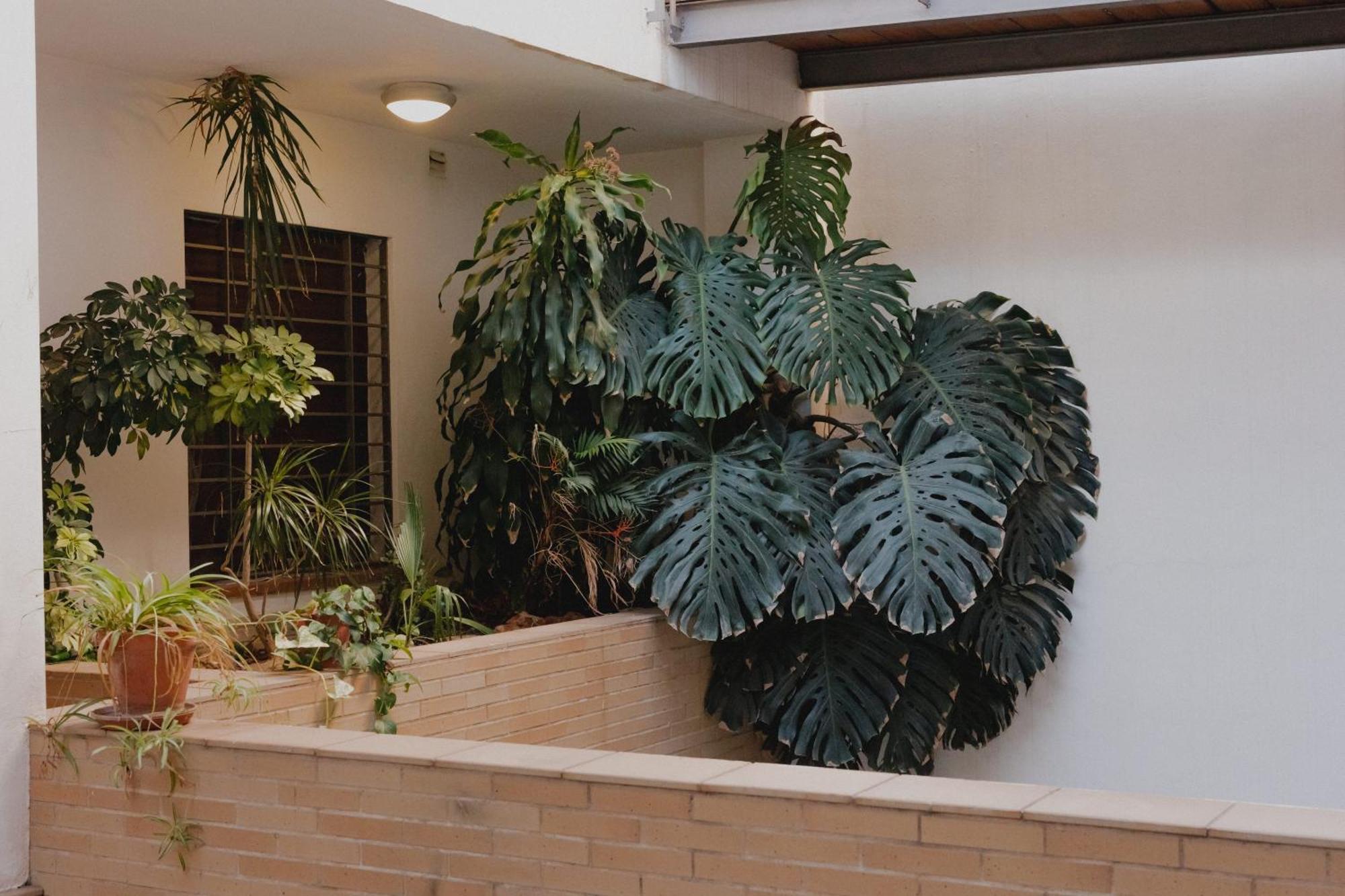Zamorano Apartamento *